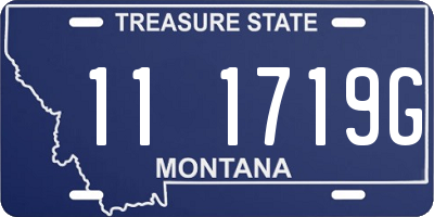 MT license plate 111719G