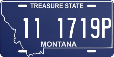 MT license plate 111719P