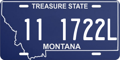 MT license plate 111722L