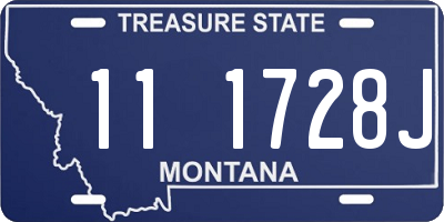 MT license plate 111728J
