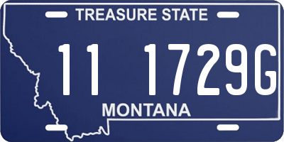 MT license plate 111729G