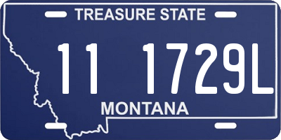 MT license plate 111729L