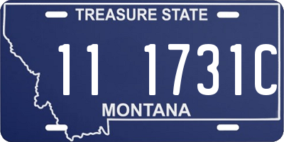 MT license plate 111731C