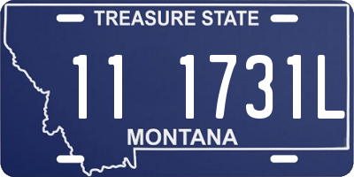 MT license plate 111731L
