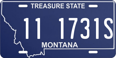 MT license plate 111731S