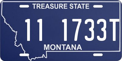MT license plate 111733T