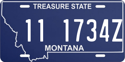 MT license plate 111734Z