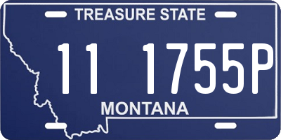 MT license plate 111755P