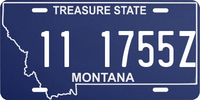MT license plate 111755Z