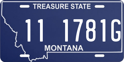 MT license plate 111781G