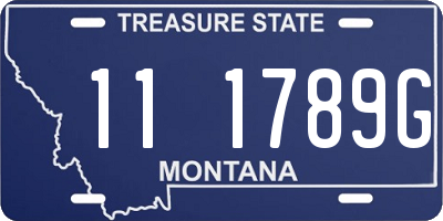 MT license plate 111789G