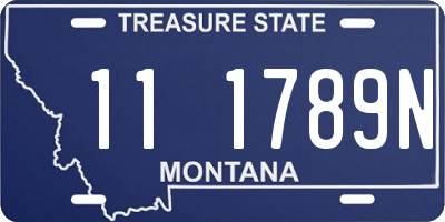 MT license plate 111789N