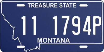 MT license plate 111794P