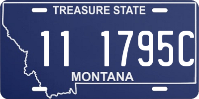 MT license plate 111795C