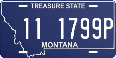 MT license plate 111799P