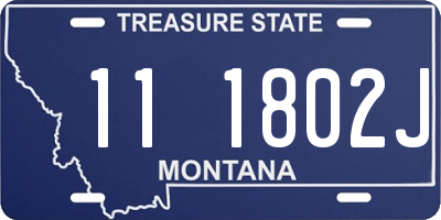 MT license plate 111802J