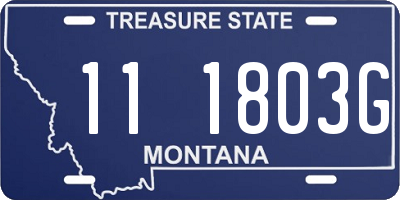 MT license plate 111803G