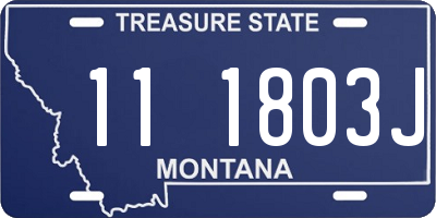 MT license plate 111803J
