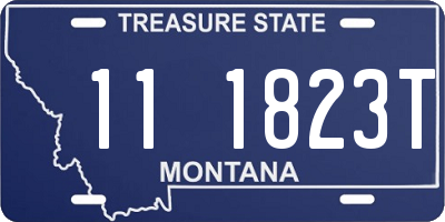 MT license plate 111823T