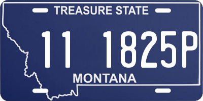 MT license plate 111825P