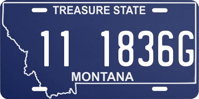 MT license plate 111836G