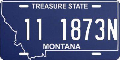 MT license plate 111873N