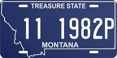 MT license plate 111982P