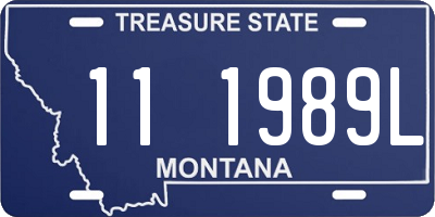 MT license plate 111989L