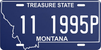 MT license plate 111995P