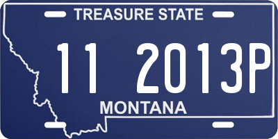 MT license plate 112013P