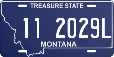 MT license plate 112029L