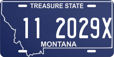 MT license plate 112029X