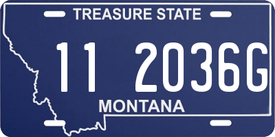 MT license plate 112036G