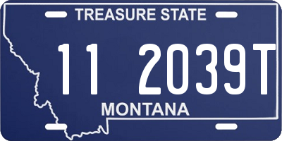 MT license plate 112039T