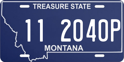 MT license plate 112040P