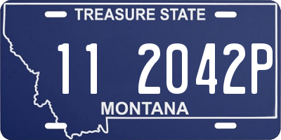 MT license plate 112042P