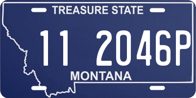 MT license plate 112046P