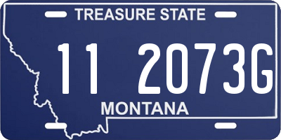 MT license plate 112073G