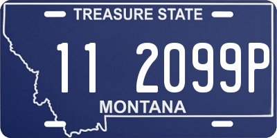 MT license plate 112099P