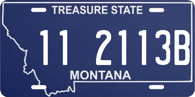 MT license plate 112113B