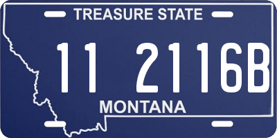 MT license plate 112116B