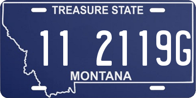MT license plate 112119G