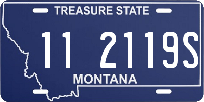 MT license plate 112119S