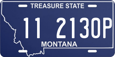 MT license plate 112130P