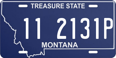 MT license plate 112131P