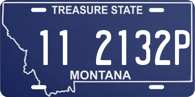 MT license plate 112132P