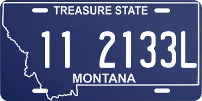 MT license plate 112133L