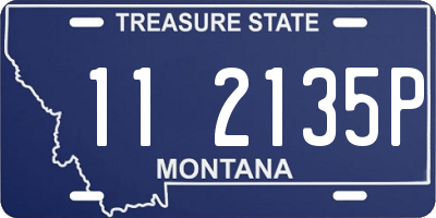 MT license plate 112135P