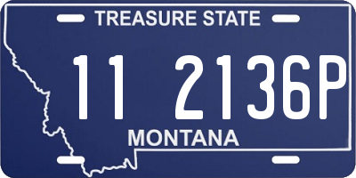 MT license plate 112136P