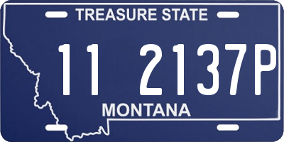 MT license plate 112137P